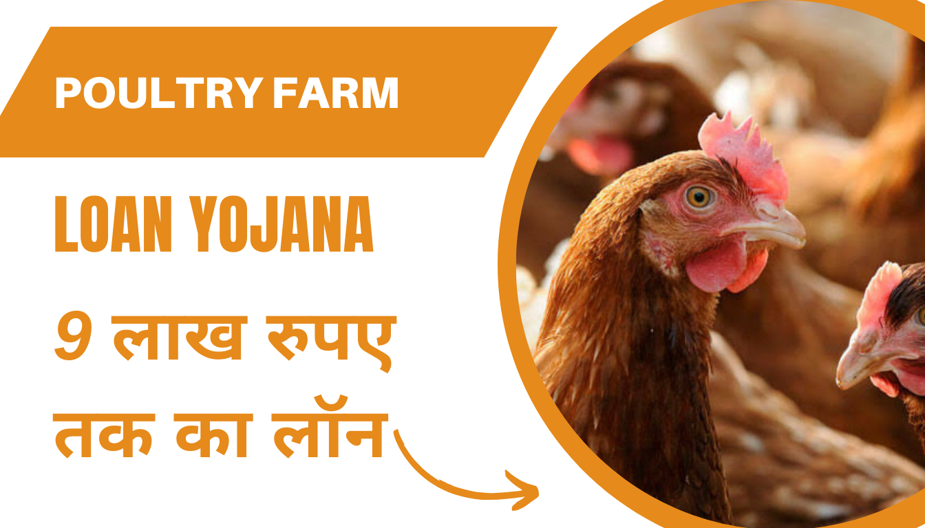 POULTRY Farm Loan Yojana