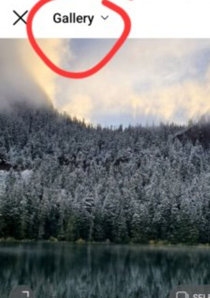 Select the image from the gallery.